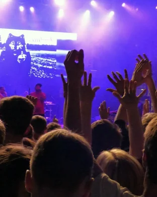 Manic Focus Madison