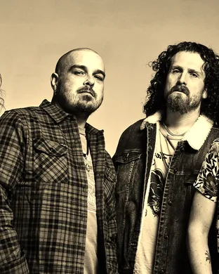 Black Stone Cherry Madison
