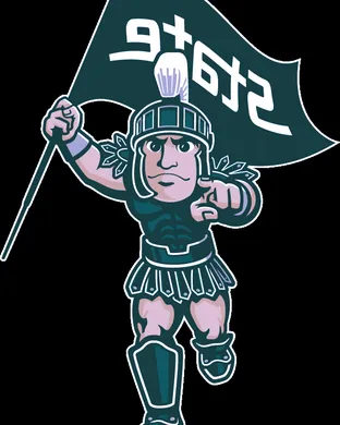 Michigan State Spartans Football Madison