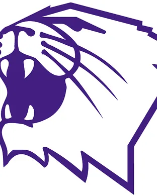 Northwestern Wildcats Evanston