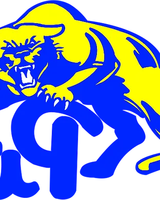 Pittsburgh Panthers vs. Wisconsin Badgers