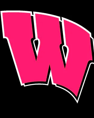 Wisconsin Badgers Football Madison