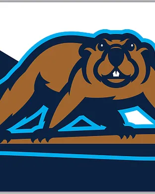 Wausau Woodchucks Madison